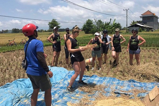 Kaba Kaba Reason for Harmony Cycling - Rice fields and a water temple visit (plus the sacred spring option)