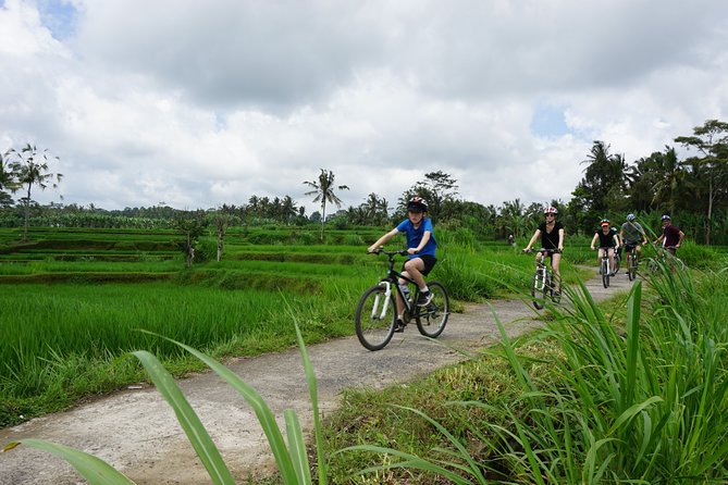 Kintamani Cultural and Nature Cycling Tour ( Manual Bike ) - Key things to know before you pedal