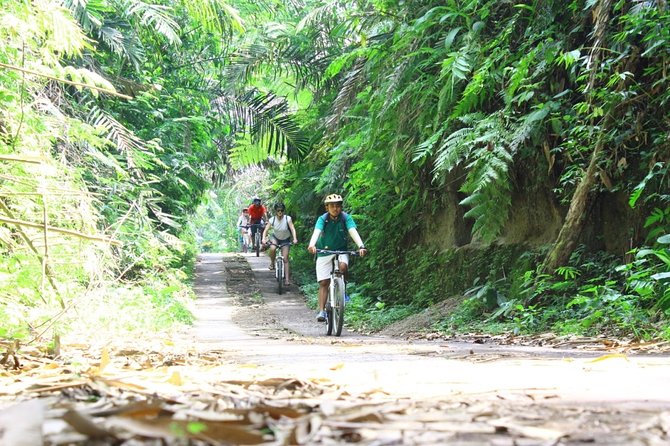 Kintamani Cultural and Nature Cycling Tour ( Manual Bike ) - Bresela Rice Fields and Irrigation: Seeing the System Behind the Beauty