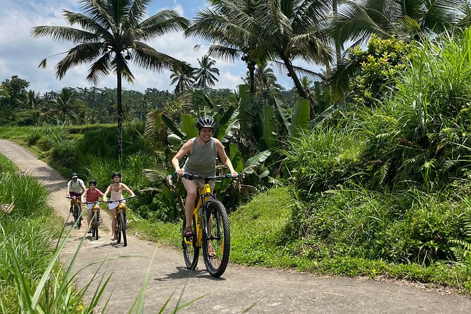 Kintamani Down Hill Cycling - Kintamani Down Hill Cycling at a glance
