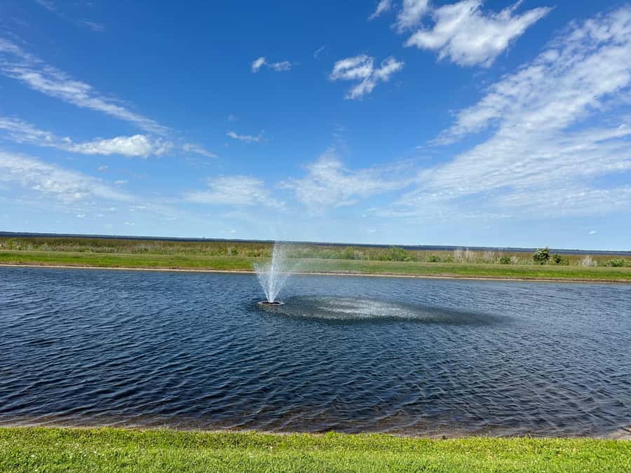 Kissimmee: 4-Hour All Electric Mountain Bike Lakefront Tour - Price and value: what $79 buys you in a Florida half-day