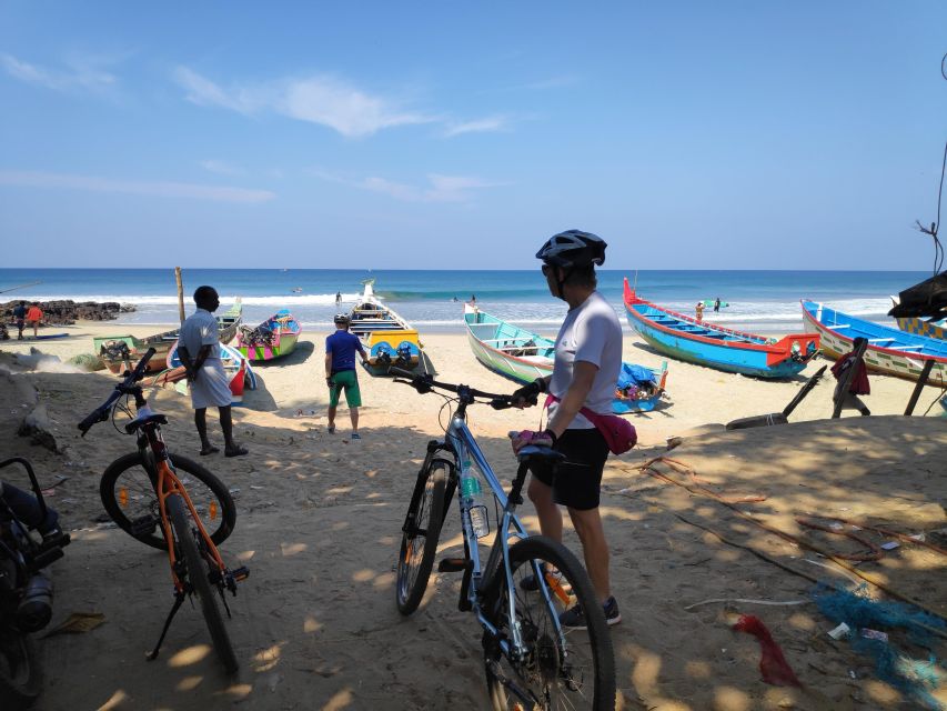 Kochi to Marari/ Kumarakom/ Alleppey eBike/Cycling Tour - Who should book this tour (and who should reconsider)