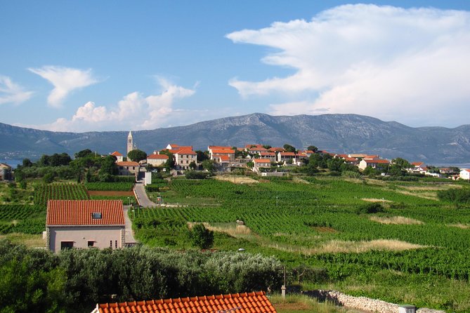 Korcula Bike & Wine Tour | Wine Tasting in Lumbarda - Price and value: what you get for $144.31