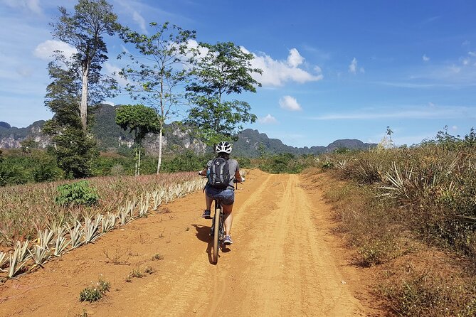 Krabi Countryside Eco Cycling Tour - Multiple Trails - Krabi Countryside by Bike: Why This Tour Feels Different