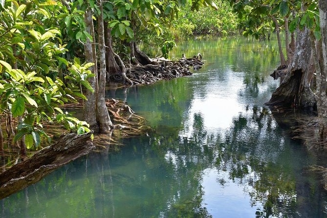 Krabi Countryside Eco Cycling Tour - Multiple Trails - Stop by Stop: What You’ll Do on the Multiple Trails