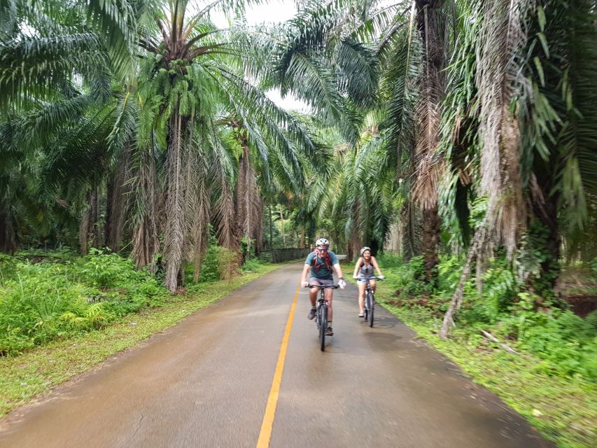 Krabi: Cycling Tour To Krabi - Boats You Can Actually See, Plus Batik as Cultural Bonus
