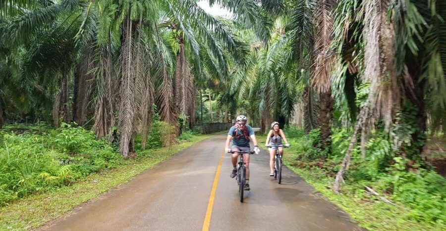 Krabi: Cycling Tour To Krabi - Bike Comfort, Timing, and Who Should (and Shouldn’t) Go