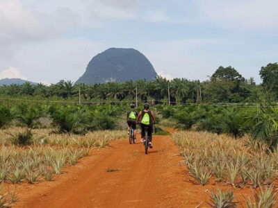 Krabi: Eco-Cycling Tour with Nature, Culture, and Fun - How bike fitting and gear set the tone in the morning
