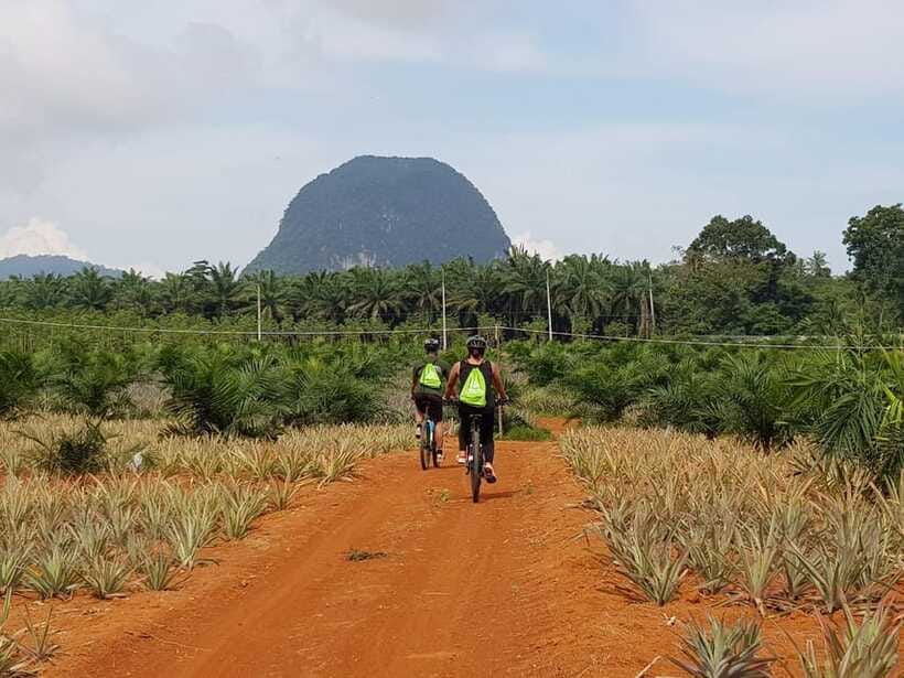 Krabi: Eco-Cycling Tour with Nature, Culture, and Fun - Sightseeing time in Krabi: short and sweet, built around local life