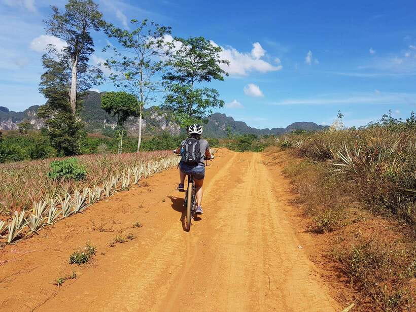 Krabi: Eco-Cycling Tour with Nature, Culture, and Fun - Food, water, and the real value of included lunch