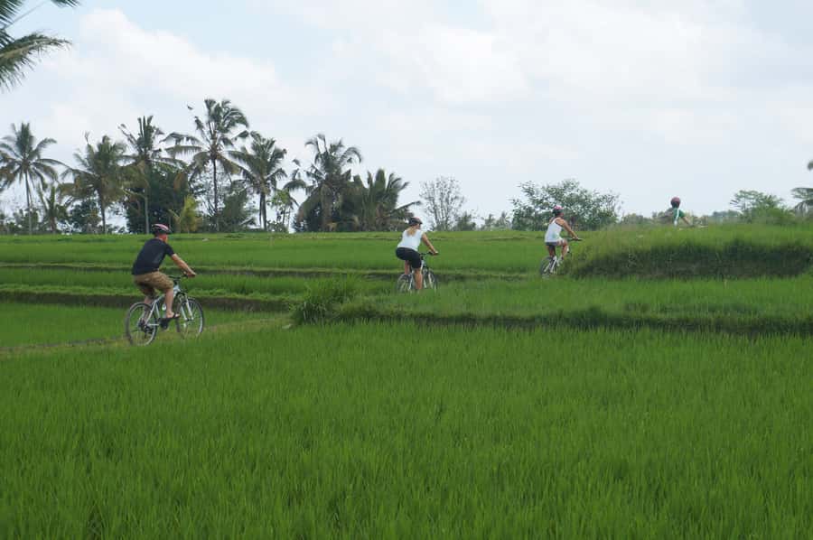Kuta: Kintamani Culture and Nature Guided Cycling Tour - Key Highlights You’ll Actually Remember