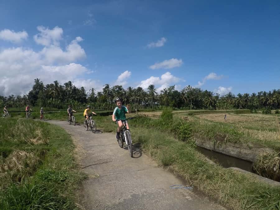 Kuta: Kintamani Culture and Nature Guided Cycling Tour - Price and Value: Why This $36 Day Feels Fair