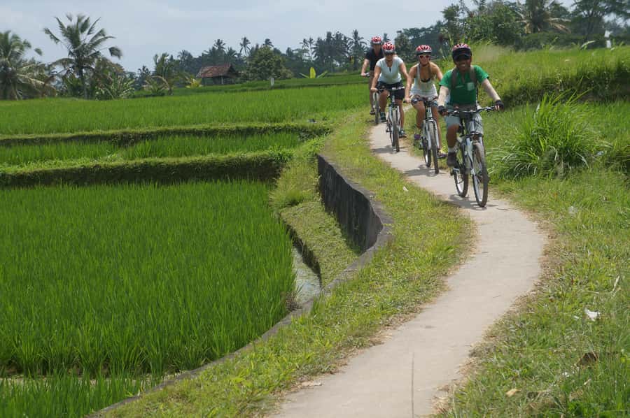 Kuta: Kintamani Culture and Nature Guided Cycling Tour - Taro Village and the Gunung Raung Temple Stop