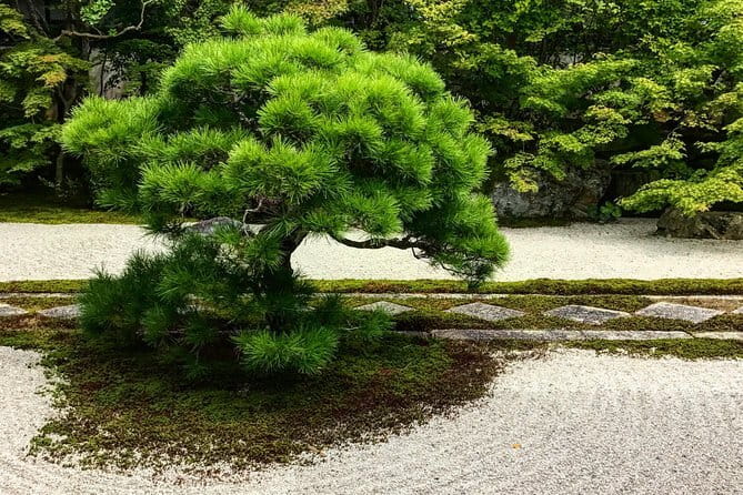Kyoto: Higashiyama Slow Cycling Tour along the quiet waterfront - Should you book the Kyoto Higashiyama slow cycling tour?