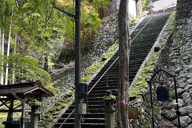 Kyoto Satoyama Cycling with Lunch and English Guide - Stop 2: Sonobe Castle Ruins (Now Part of a High School)