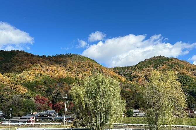 Kyoto Satoyama Cycling with Lunch and English Guide - Stop 4: Make Shrine and the Agriculture Connection