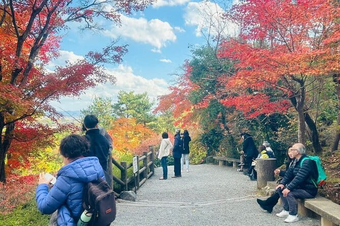 Kyoto Satoyama Cycling with Lunch and English Guide - Optional Add-Ons: Kimono Photo, Koto Music, Spring Water, and Mt. Komugi