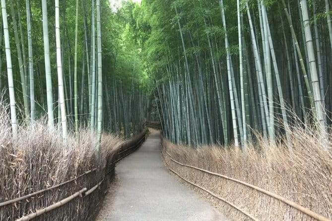 Kyoto Shogun Cycling Tour - How the Bike Tour Works (Without Stress): Timing, Gear, and Road Reality