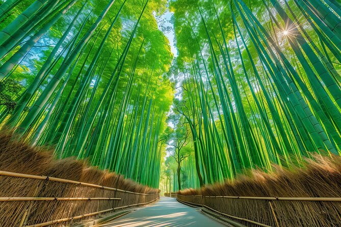 Kyoto Shogun Cycling Tour - Price and Value Check: What $153.50 Really Buys You