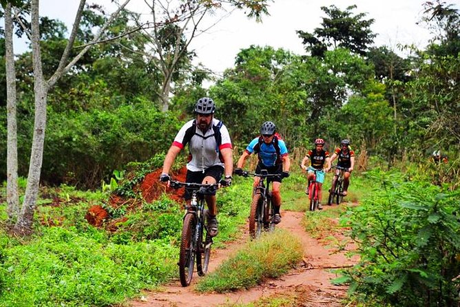 Lake Victoria Island Cycling Tour from Kampala - Leaving Kampala Behind on Lake Victoria Island Roads