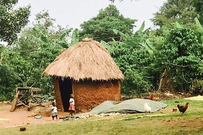 Lake Victoria Island Cycling Tour from Kampala - Mukono Village Cycling and Jungle-Edge Roads