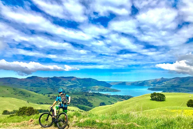 Lava Loop- Guided electric mountain bike tour in Akaroa - Why the Lava Loop feels worth it