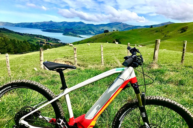 Lava Loop- Guided electric mountain bike tour in Akaroa - The bikes and gear that change the ride