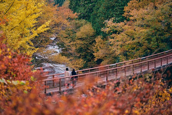 Little Adventure with Cycling in Tokyo No. 1 Crystal Clear River - Best Season, What to Pack, and Who This Suits