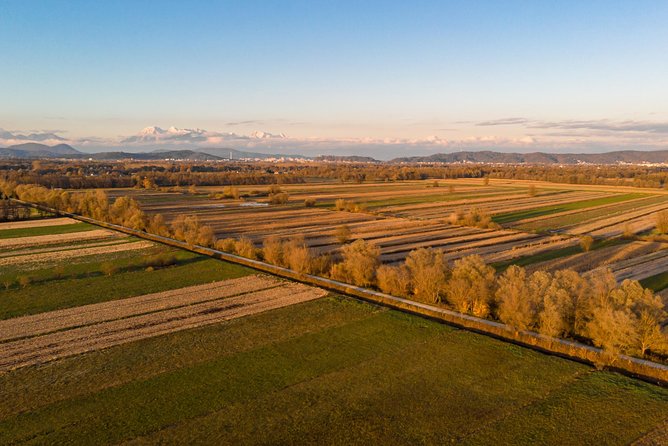 Ljubljana's Marshes Cycling Tour - Stop-by-Stop: From City Center to Marshes and Back Again