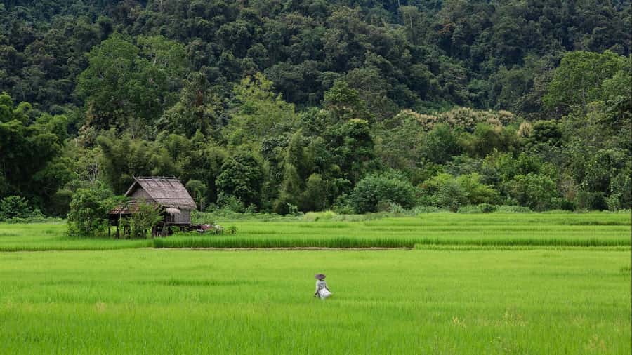 Luang Prabang: Countryside Mountain Bike Tour with Lunch - Xieng Lek Village stop: mulberry paper and weaving crafts