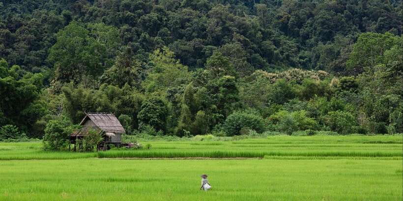 Luang Prabang: Countryside Mountain Bike Tour with Lunch - Wat Phon Phao: octagonal temple, wall paintings, golden stupa, and views