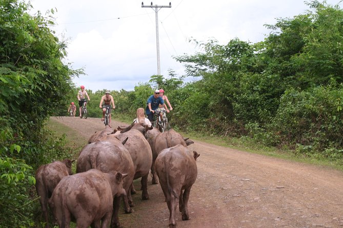 Luang Prabang Mountain Bike Cycling Tour - Price and logistics that actually matter for value