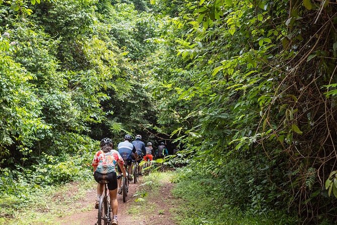 Ma Da Jungle Cycling Adventure - Key Highlights You’ll Actually Care About