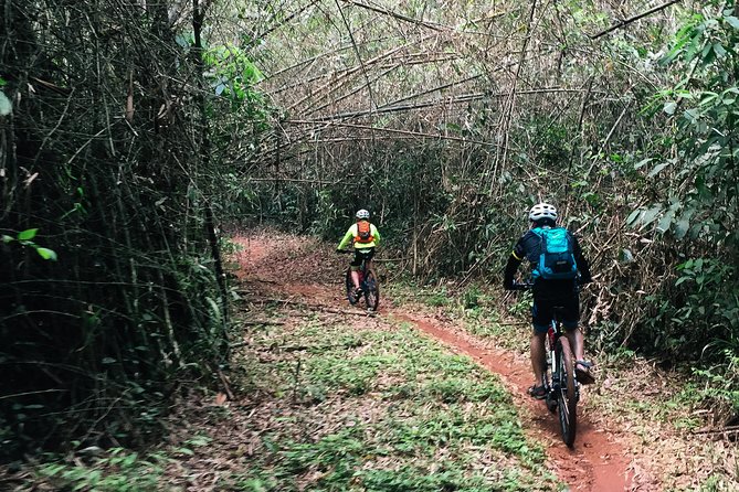 Ma Da Jungle Cycling Adventure - Snacks, Fruits, and That Jungle Heat Reality Check