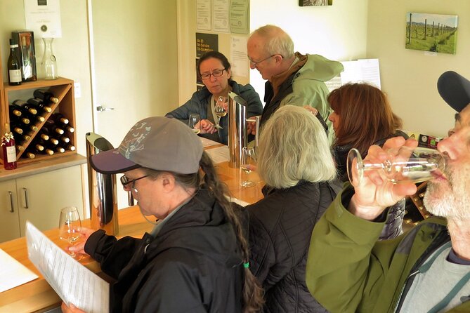 Magical Mapua Self Guided One Day Cycle Tour - Stop 4: Seifried Estate Cellar Door for a tasting option