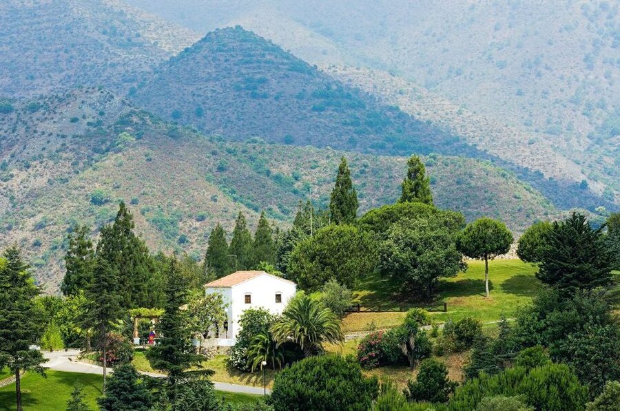 Marbella: E-Mountain Bike Explorer Tour - Mediterranean forest sections and the view ride back to Marbella