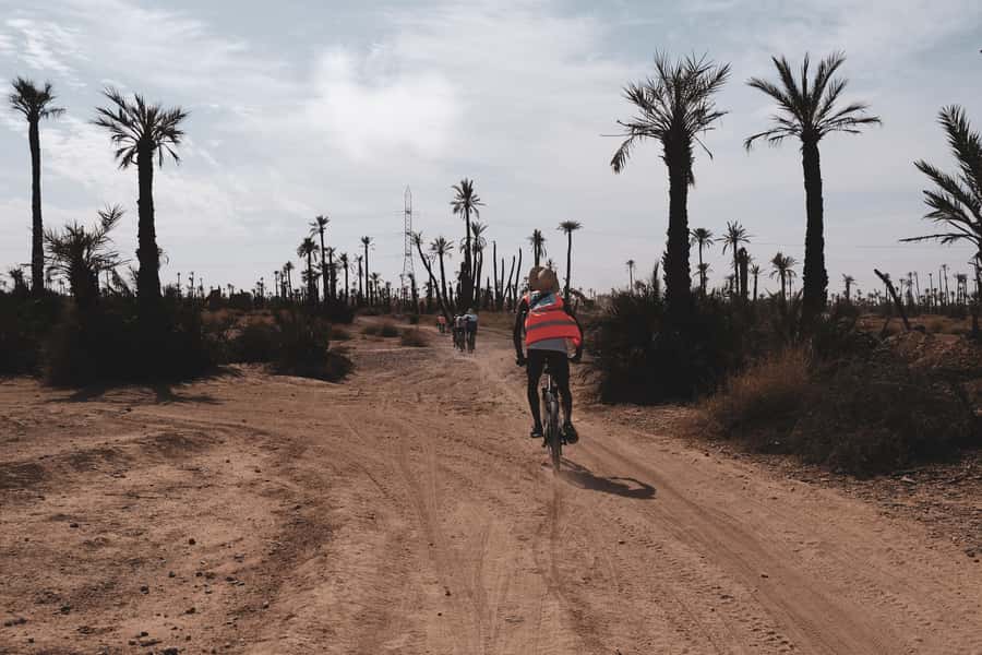 Marrakech: Cycling Tour in Palm Groove with Local Breakfast - City streets first, then quieter roads under palms