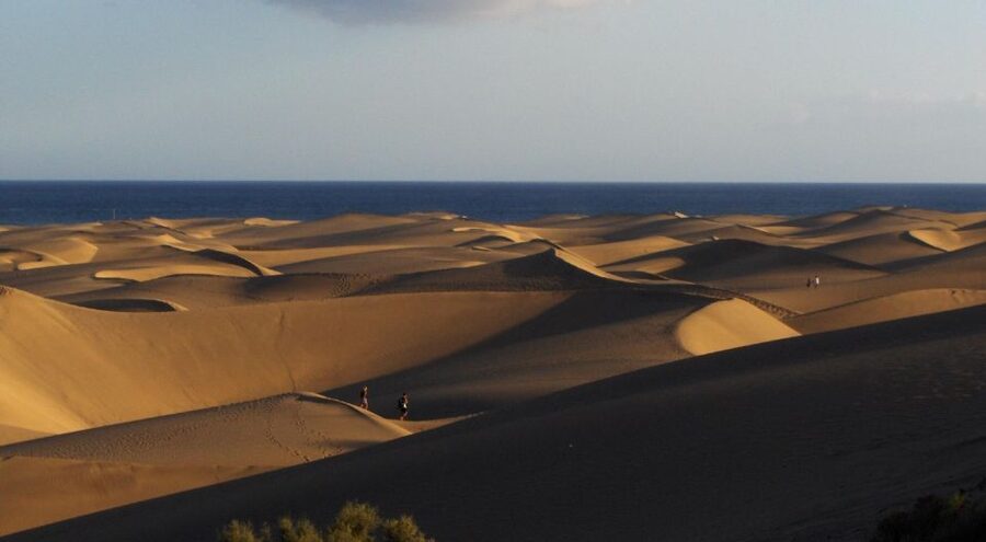 Maspalomas: Rent 4 or 8 hours untill 7-Day Mountain Bike - The ride surfaces: asphalt, promenade, and bike paths only