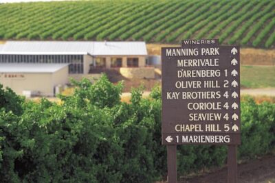 McLaren Vale Shiraz Trail Cycling Tour from Adelaide - Your day’s stops: vineyards, tastings, and Willunga market