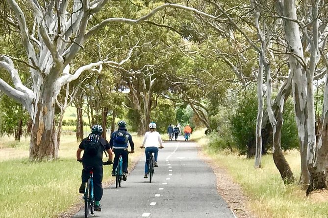 McLaren Vale Shiraz Trail Cycling Tour from Adelaide - Who this tour suits best (and who should choose something else)