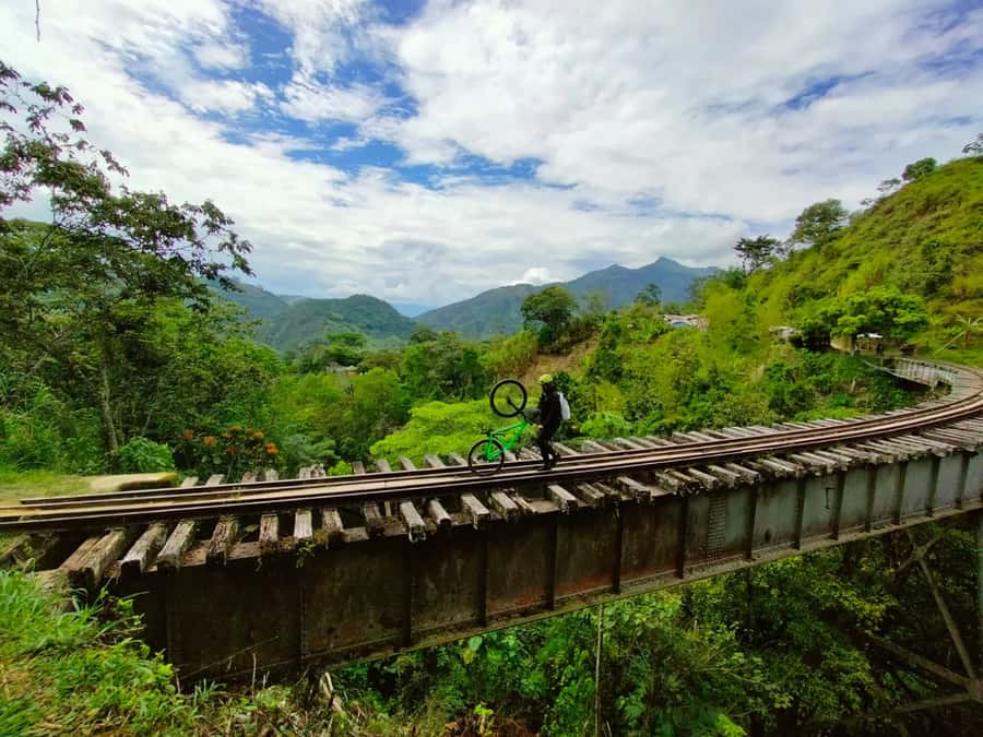 Medellín: Full-Day Mountain Bike Tour with Lunch - Views over the Coffee Region and the wildlife you actually see