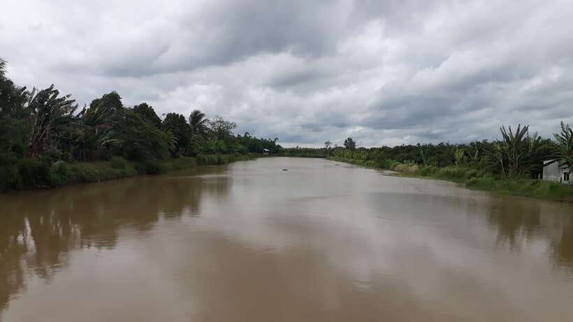 Mekong Day Tour by Car:Cai Be market, Local Island & Cycling - Returning to Ho Chi Minh City: what to expect in the afternoon