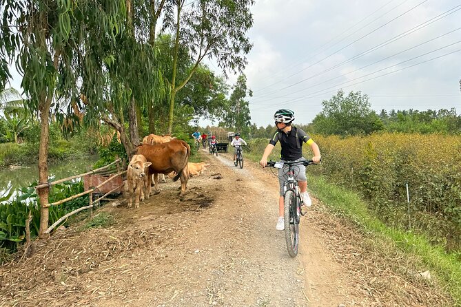 Mekong Delta 2 days 1 nights Cycling Trip - Who This Tour Fits Best (And Who Might Want a Different Style)