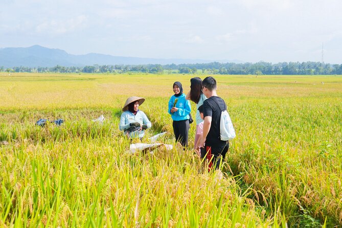 Menoreh Village Cycling - Village food stops: tempe benguk and jamu are part of the sightseeing