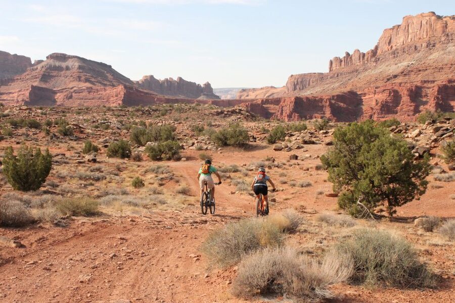 Moab: Mountain Bike Half Day Tour - Key things to know before you pedal in Moab