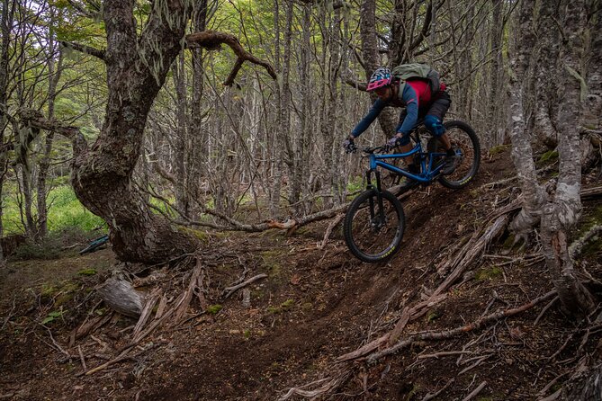 Mountain Bike Adventure in Punta Arenas - Key things to know before you pedal