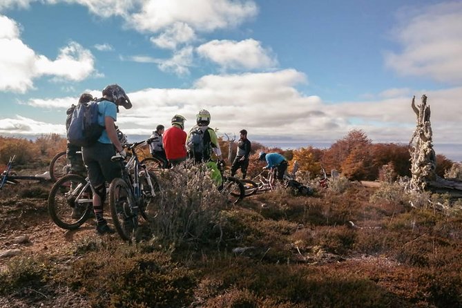 Mountain Bike Adventure in Punta Arenas - Magallanes National Reserve: forest trails and real wildlife chances