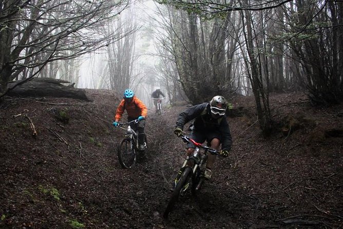 Mountain Bike Adventure in Punta Arenas - Cost and value: what you’re paying for in Patagonia