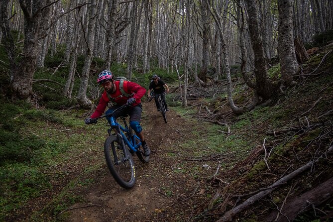 Mountain Bike Adventure in Punta Arenas - Punta Arenas hills: mixed terrain, steep options, and viewpoint payoff