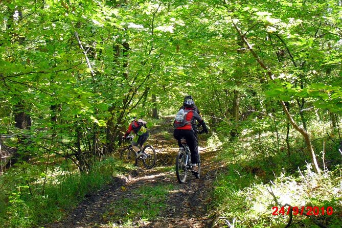 Mountain Bike Day Tour around Brasov - Getting started at Alpin Resort Hotel near Brasov